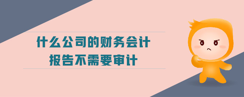 什么公司的財務會計報告不需要審計 什么公司的財務會計報告不需要審計