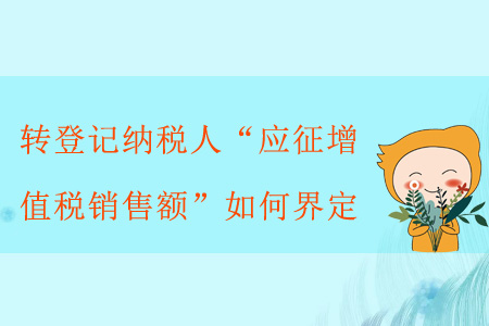 轉(zhuǎn)登記納稅人“應(yīng)征增值稅銷售額”如何界定？