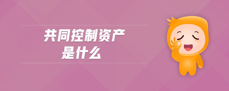 共同控制資產(chǎn)是什么 共同控制資產(chǎn)是什么