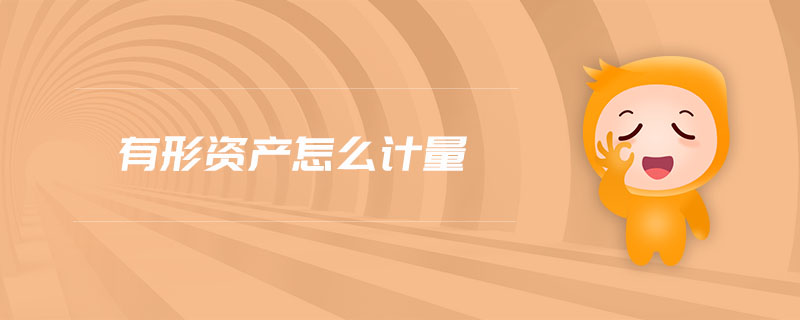 有形資產(chǎn)怎么計(jì)量 有形資產(chǎn)怎么計(jì)量