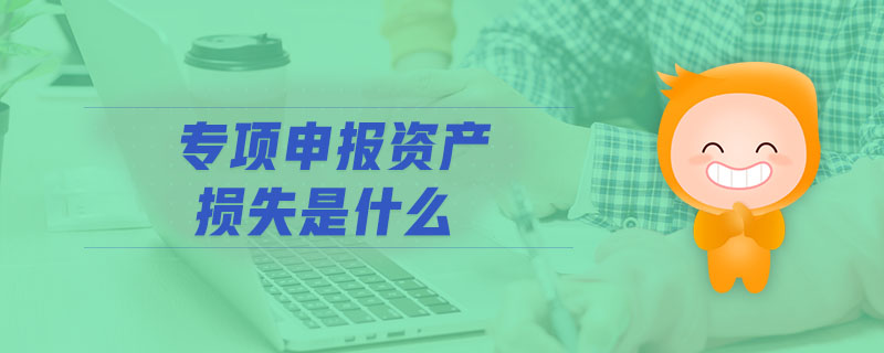 專項申報資產損失是什么