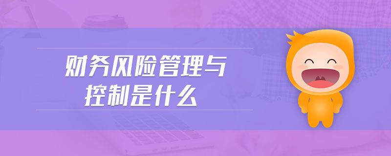 財務(wù)風(fēng)險管理與控制是什么 財務(wù)風(fēng)險管理與控制是什么