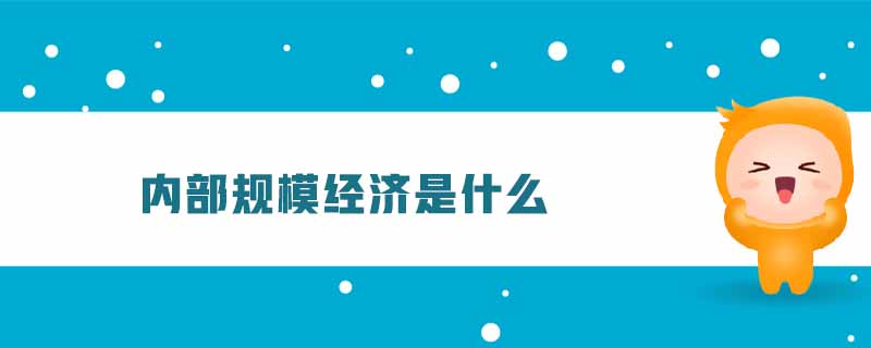 內(nèi)部規(guī)模經(jīng)濟(jì)是什么 內(nèi)部規(guī)模經(jīng)濟(jì)是什么