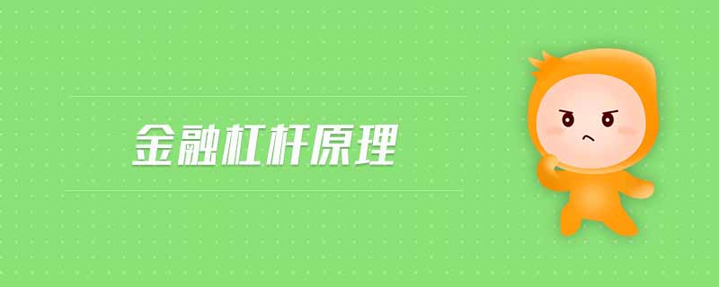 金融杠桿原理 金融杠桿原理
