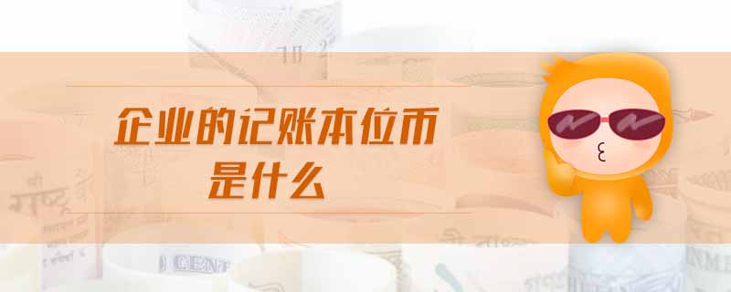 企業(yè)的記賬本位幣是什么