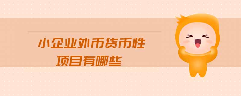 小企業(yè)外幣貨幣性項目有哪些 小企業(yè)外幣貨幣性項目有哪些