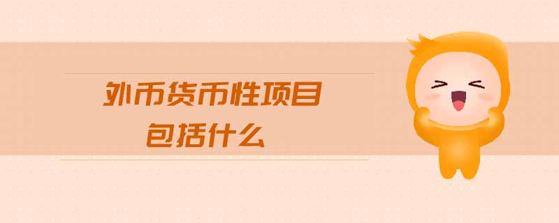 外幣貨幣性項(xiàng)目包括什么 外幣貨幣性項(xiàng)目包括什么