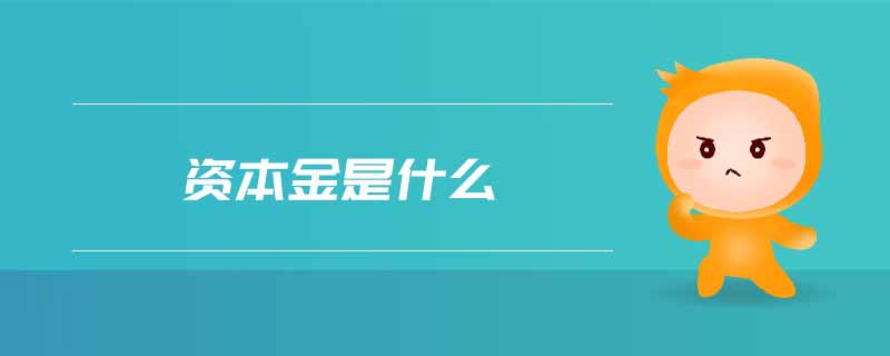 資本金是什么