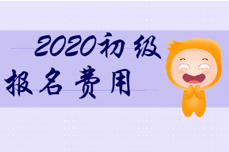 初級會計(jì)職稱2020年報(bào)名費(fèi)是多少？