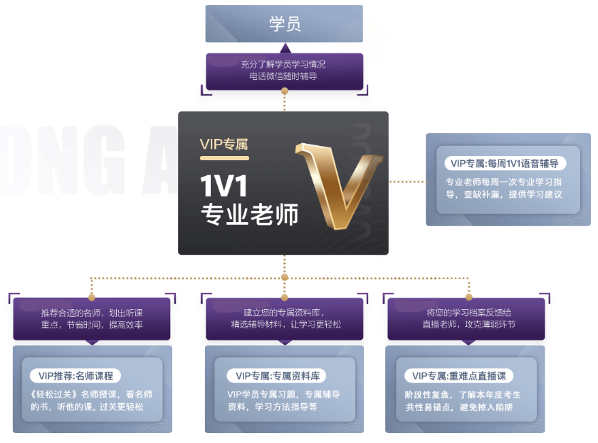 中級VIP私教計劃