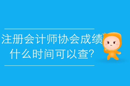 2019年注冊會計師協(xié)會成績什么時間可以查？
