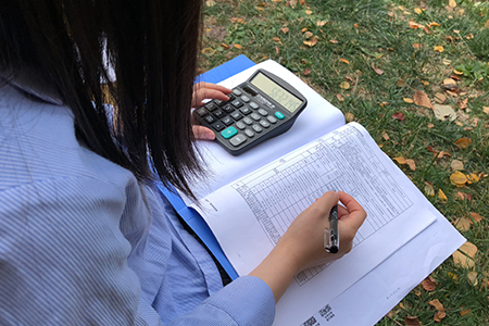 稅務(wù)師考試怎么學(xué)習(xí)更高效？備考資料有哪些？