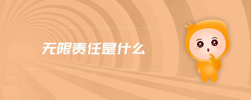 無限責(zé)任是什么 無限責(zé)任是什么