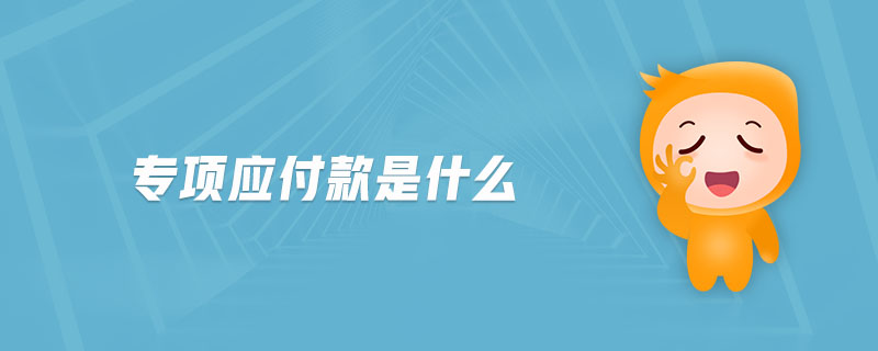 專項應(yīng)付款是什么 專項應(yīng)付款是什么