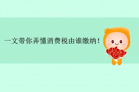一文帶你弄懂消費(fèi)稅由誰繳納！