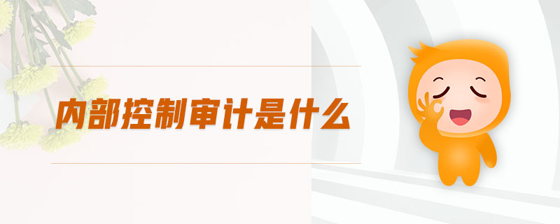 內部控制審計是什么