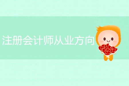 注冊(cè)會(huì)計(jì)師從業(yè)方向具體有哪些？