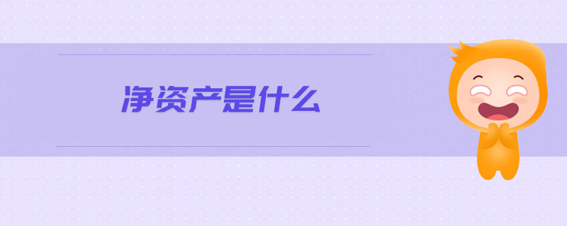 凈資產(chǎn)是什么 凈資產(chǎn)是什么