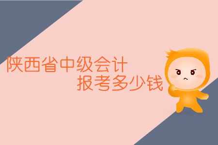 2020年陜西省中級會(huì)計(jì)報(bào)考多少錢？