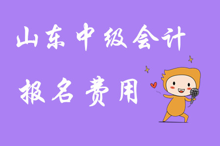山東中級會計報名費用是多少?
