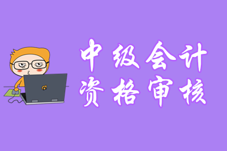 湖南中級(jí)會(huì)計(jì)考試審核是哪種方式？