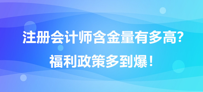 注冊會計師含金量有多高？福利政策多到爆！