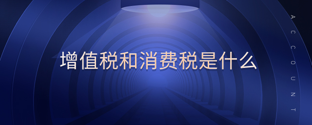 增值稅和消費(fèi)稅是什么 增值稅和消費(fèi)稅是什么
