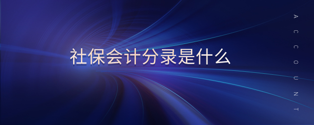 社保會(huì)計(jì)分錄是什么