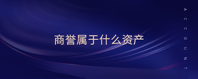 商譽(yù)屬于什么資產(chǎn)
