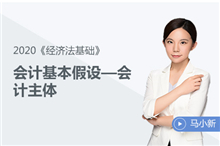 會(huì)計(jì)基本假設(shè)—會(huì)計(jì)主體