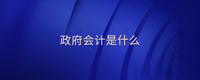 政府會(huì)計(jì)是什么