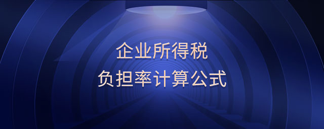 企業(yè)所得稅負擔率計算公式