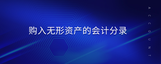 購(gòu)入無(wú)形資產(chǎn)的會(huì)計(jì)分錄 購(gòu)入無(wú)形資產(chǎn)的會(huì)計(jì)分錄