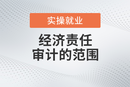 經(jīng)濟(jì)責(zé)任審計(jì)的范圍都是什么？