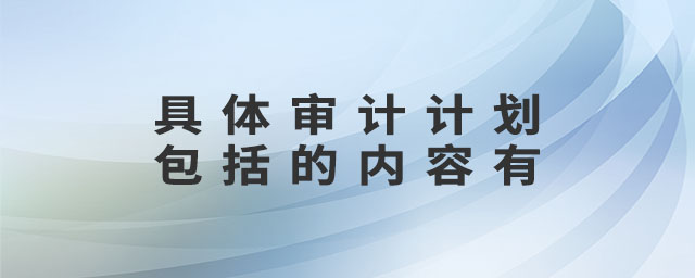 具體審計計劃包括的內(nèi)容有 具體審計計劃包括的內(nèi)容有