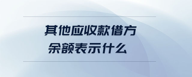 其他應(yīng)收款借方余額表示什么 其他應(yīng)收款借方余額表示什么