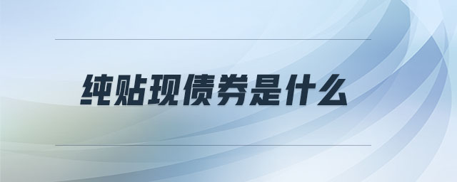 純貼現債券是什么 純貼現債券是什么
