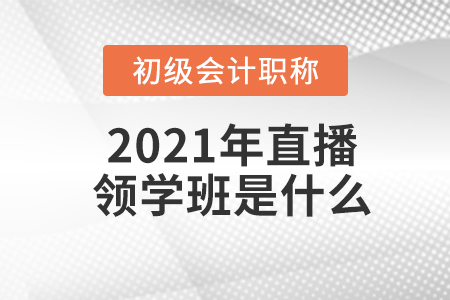 2021年初級(jí)會(huì)計(jì)職稱直播領(lǐng)學(xué)班是什么