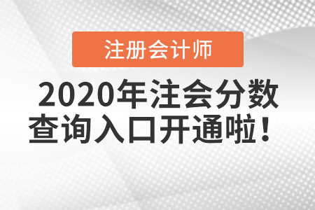 2020年注會分數(shù)查詢?nèi)肟陂_通啦！