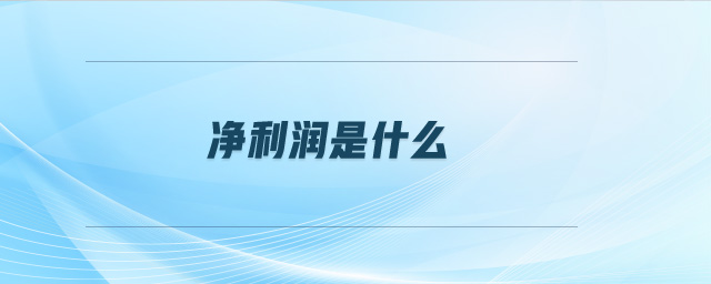 凈利潤(rùn)是什么 凈利潤(rùn)是什么
