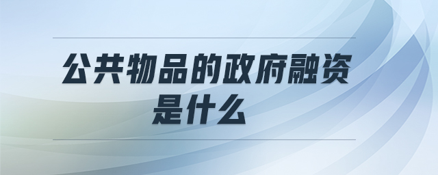 公共物品的政府融資是什么