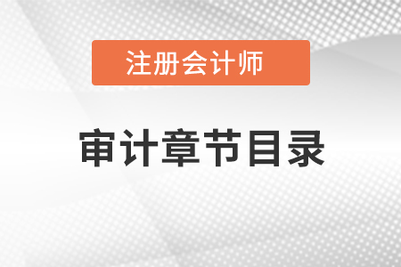 注冊會計師審計章節(jié)目錄