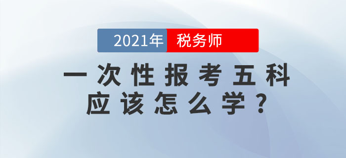 備考稅務(wù)師考試，想要一次性報(bào)考五科應(yīng)該怎么學(xué)？