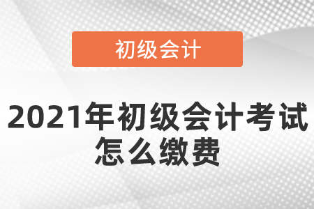 2021年初級會計考試怎么繳費