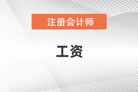 注冊會計(jì)師工資有多少？
