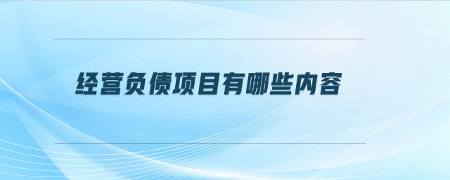 經(jīng)營負(fù)債項(xiàng)目有哪些內(nèi)容