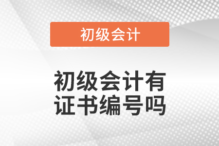 初級會計有證書編號嗎
