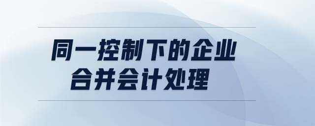 同一控制下的企業(yè)合并會計處理 同一控制下的企業(yè)合并會計處理
