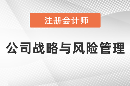 注會戰(zhàn)略考試重點(diǎn)總結(jié)