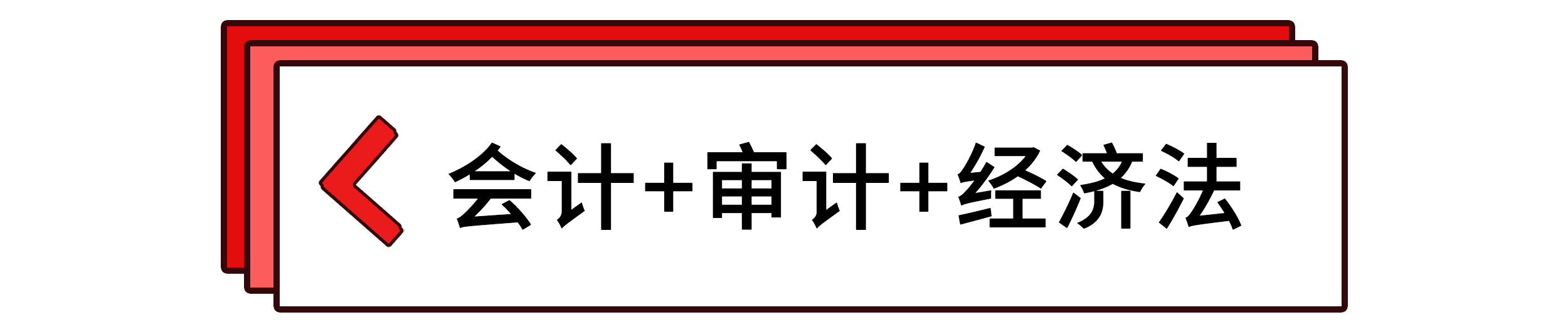 會計+審計+經(jīng)濟法 會計+審計+經(jīng)濟法